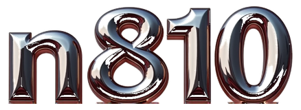 n810 logo